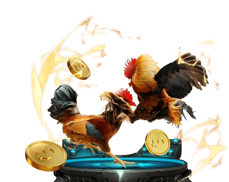 Hình ảnh minh họa cookie bên thứ nhất